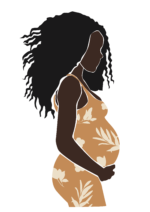 Naba Doula Midwife Services