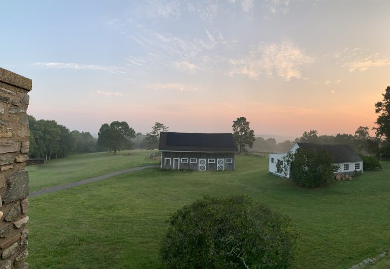 OwlsHouse MainView 2 768x529