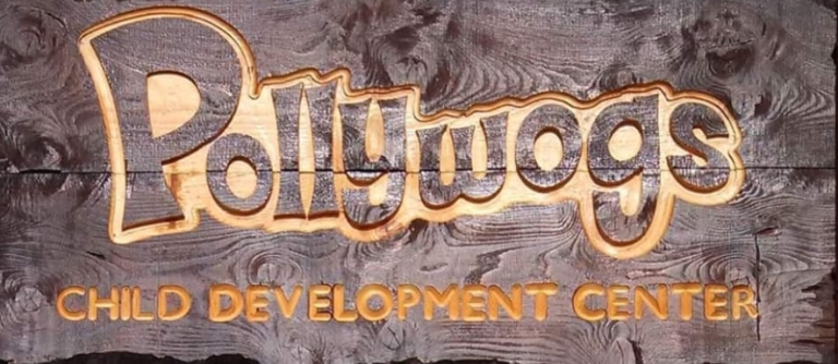 Pollywogs Child Development Center 2 768x334