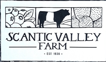 Scantic Valley Farm 2