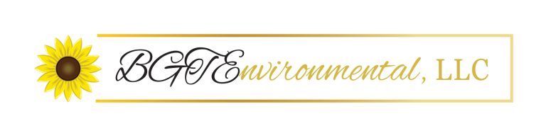 bgt environmental llc color copia 3 768x195