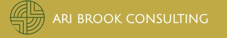 Ari Brook Consulting 768x130