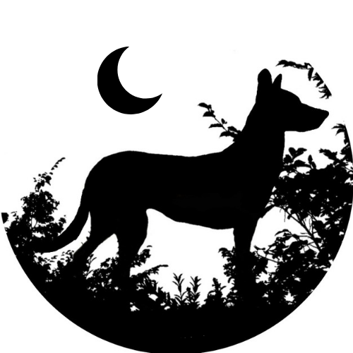 category image