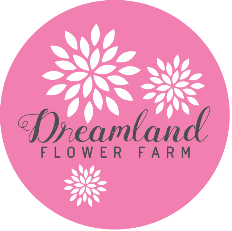 DreamlandFlower 768x765