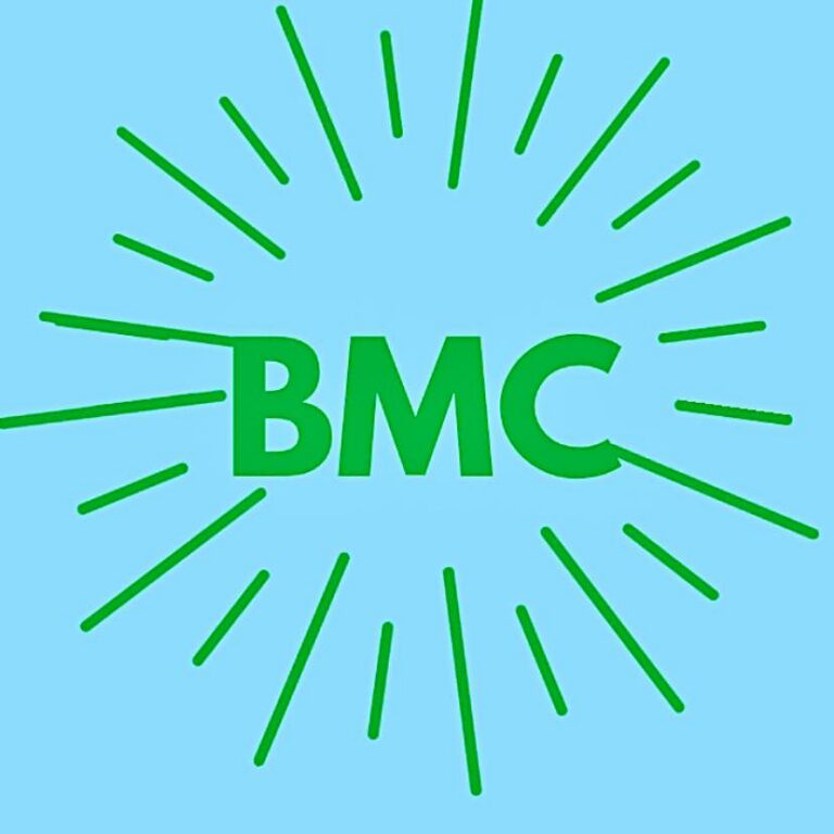 Be Mindful Clinic LLC 768x768
