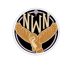 Night Wing Navigation