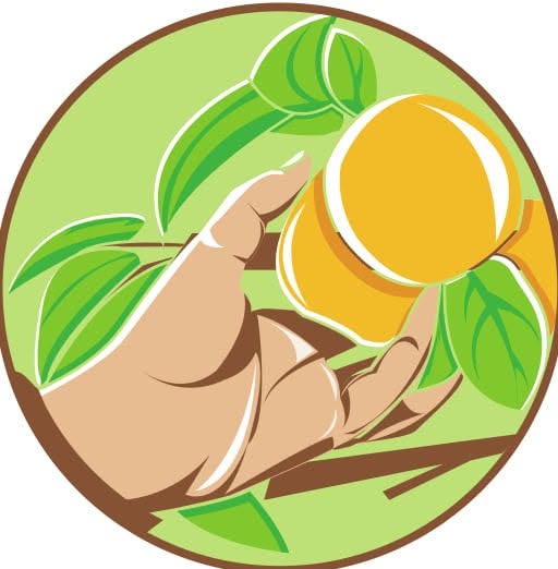 Fruits Oasis